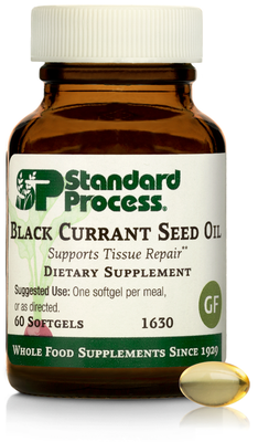 Black Currant Seed Oil (Standard Process)