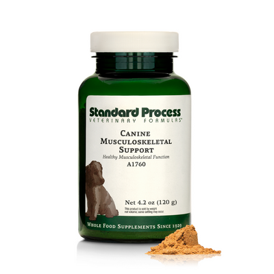 Canine Musculoskeletal Support (Standard Process)