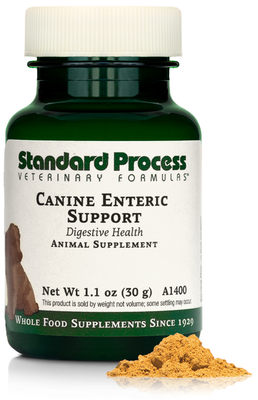 Canine Enteric Support (Standard Process)