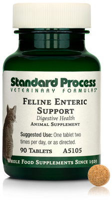 Feline Enteric Support (Standard Process)