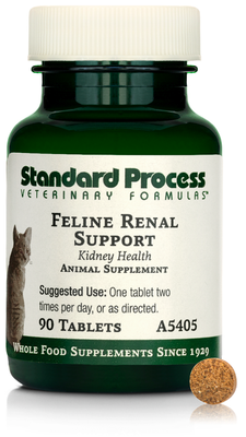Feline Renal Support (Standard Process)