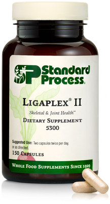 Ligaplex® II (Standard Process)