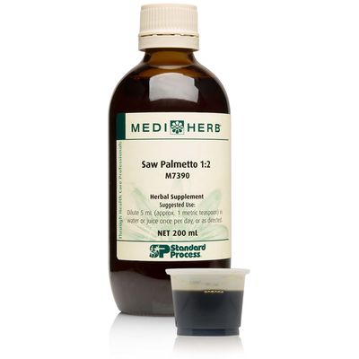 Saw Palmetto 1:2